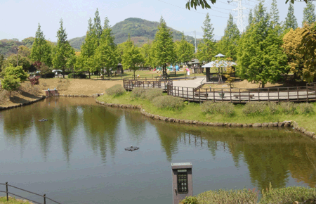 【室見川河畔公園　野生の広場】福岡のおすすめバーベキュースポット